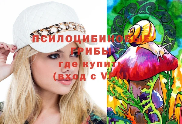 ГАЛЛЮЦИНОГЕННЫЕ ГРИБЫ Армянск